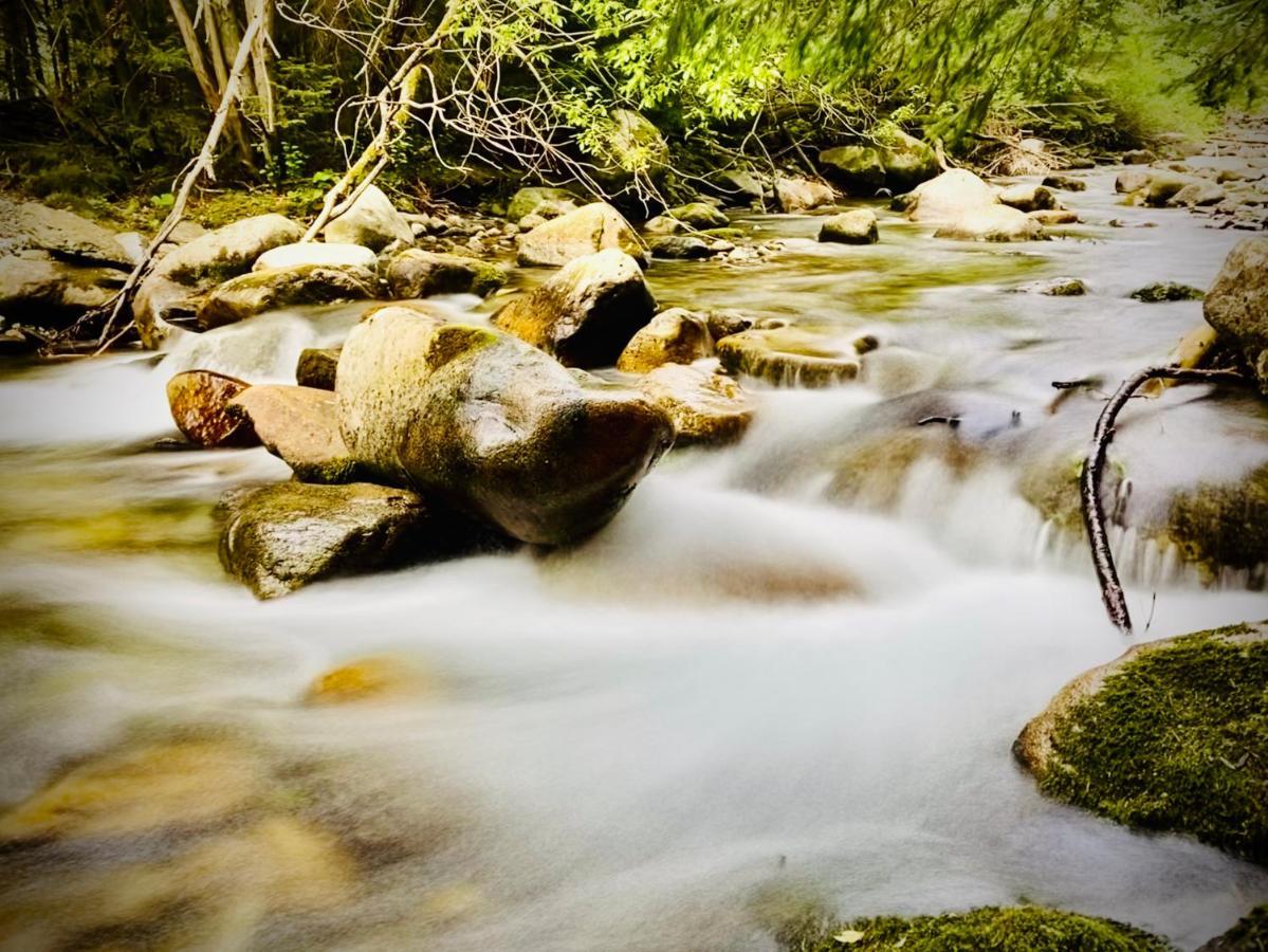 فيلا The Old Mill Liptovský Trnovec المظهر الخارجي الصورة